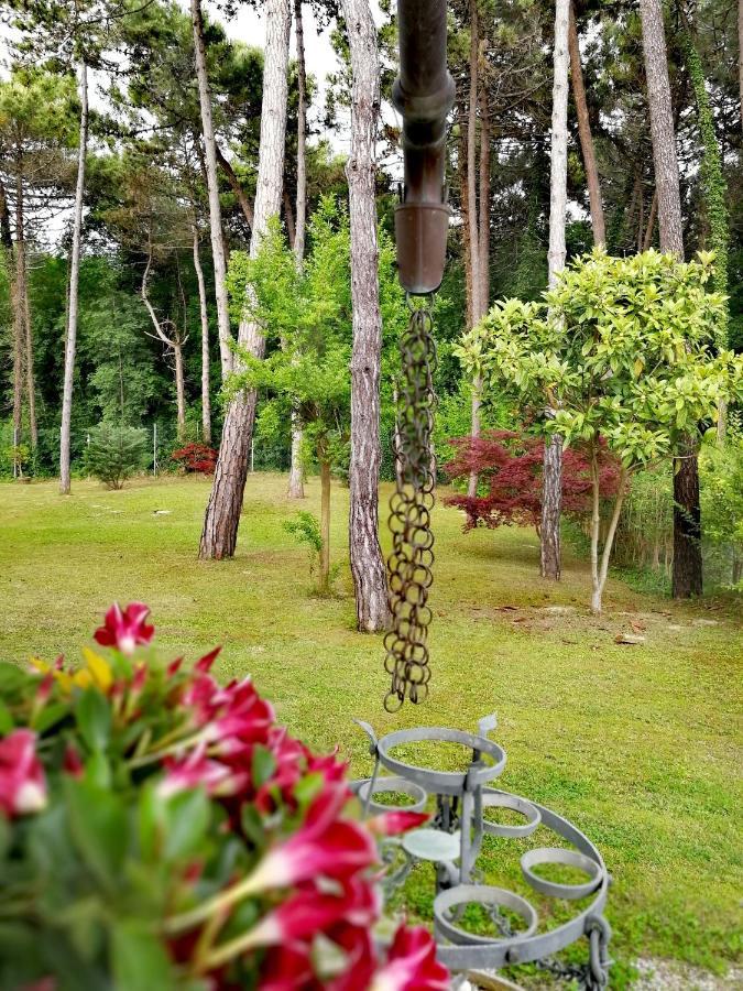 Hotel & Wellness Fra I Pini لينانو سابيادورو المظهر الخارجي الصورة